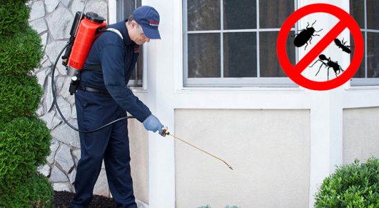 Terme Dezenfeksiyon böcek ilaçlama ve haşere kontrolü — ilaclama-tr.com